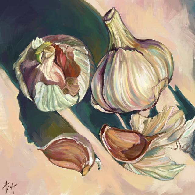 Garlic